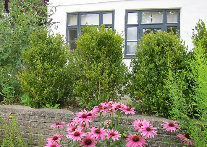 ベッド・アンド・ブレックファスト Provstegarden Hovedgård